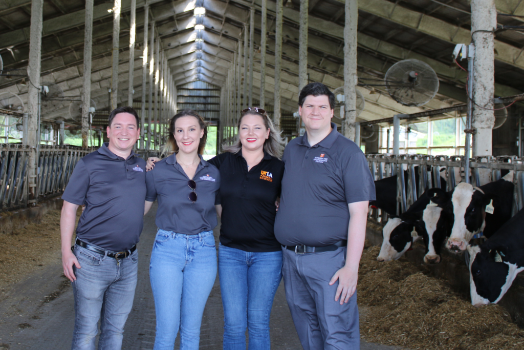 the four team researchers stand in a barn with dairy cows eating hay in the background.