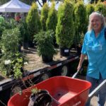 Smiling woman in blue shirt pushes a red wheelbarrow full of plants. Rows of potted trees and assorted plants are behind her.