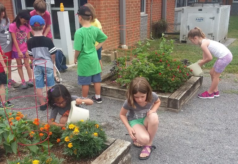 children bend over raised garden beds containing flowers