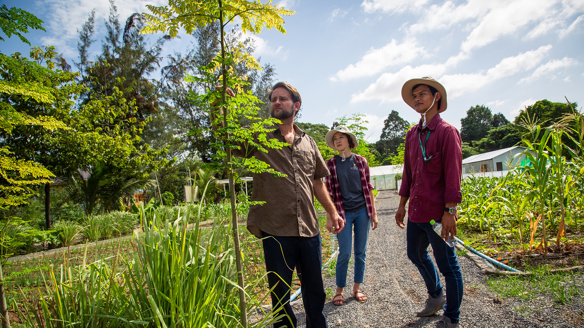 three people stand and look at a tree sapling at a farm in Cambodia.