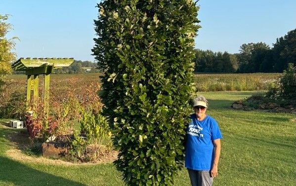 person standing next to a tall Spirit Oak tree