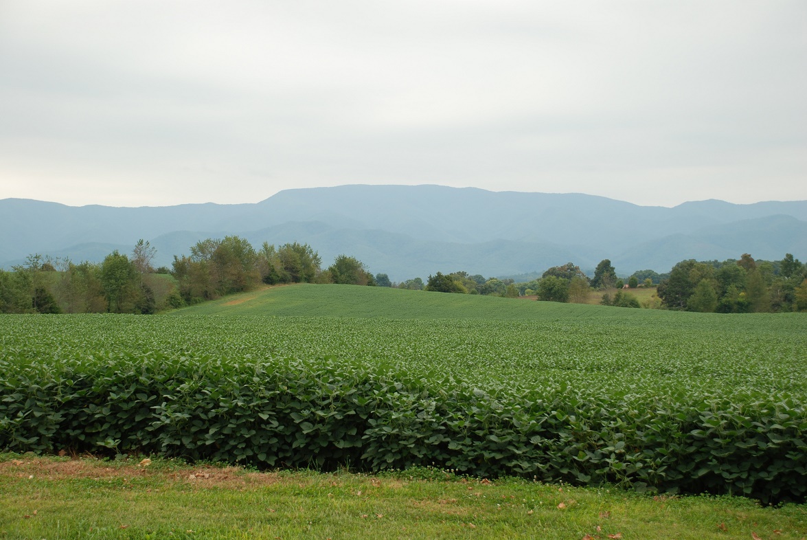 view of rolling hills in foreground with mountains in background