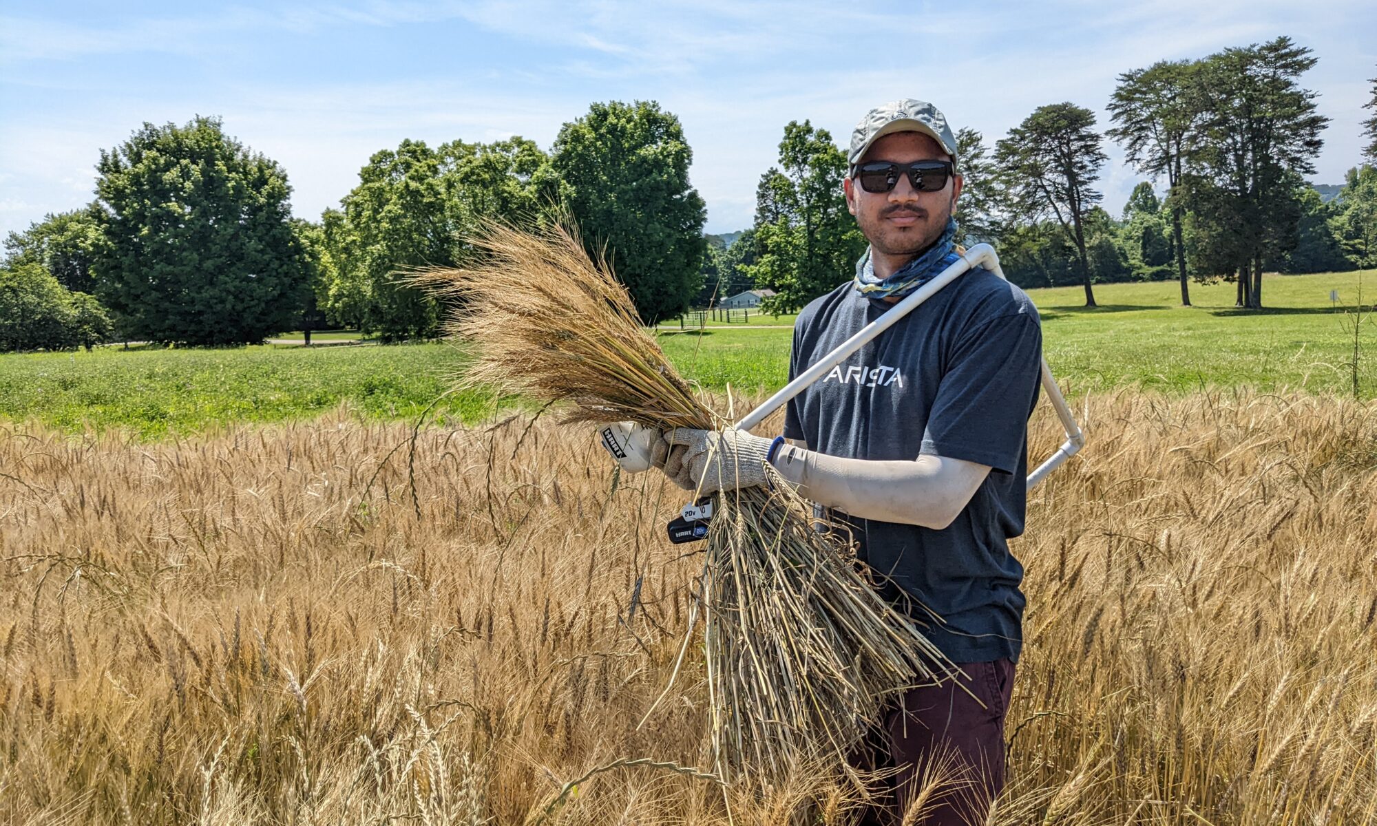 Ravi stands in wheat field holding a bushel of wheat