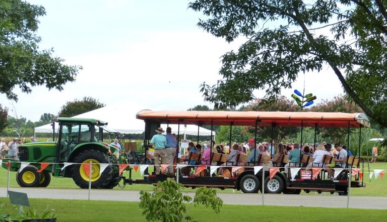 UT Institute Of Agriculture Hosts 2024 Field Days Across Tennessee   Field Day Image For 2024 Cropped 768x442 