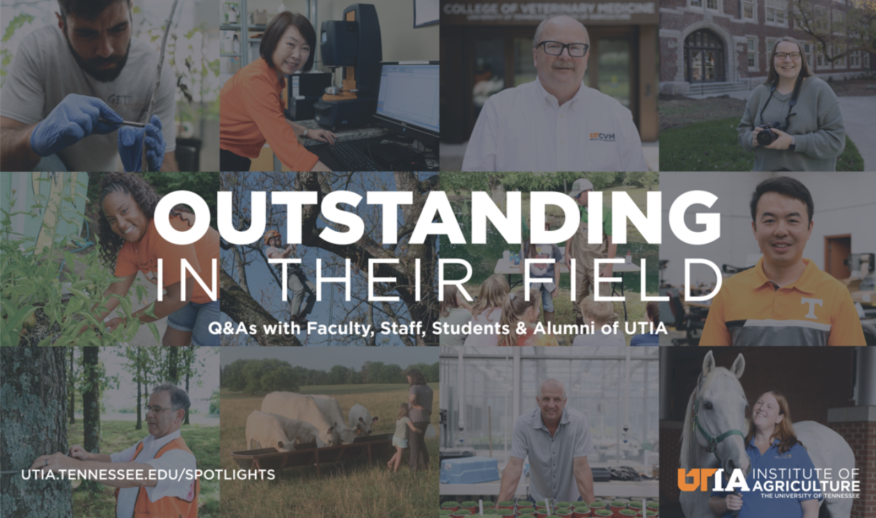 Outstanding in Their Field: Q&A-style articles featuring UTIA faculty, staff, students and alumni from across the state.