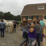 horse management field day