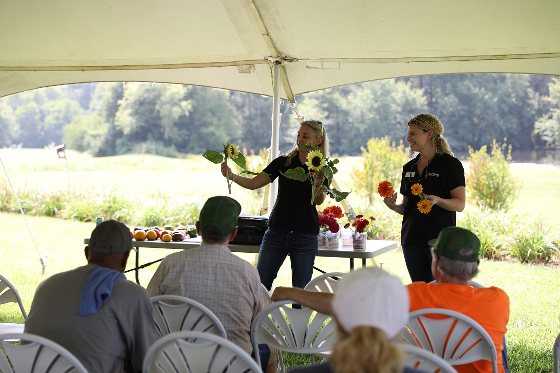 Extension specialists from the University of Tennessee Department of Plant Sciences and Department of Agricultural and Resource Economics are helping cut flower farmers in Tennessee make informed decisions about production and marketing