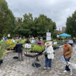 UT Gardens Knoxville Spring Plant Sale