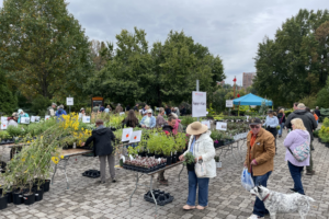 UT Gardens Knoxville Spring Plant Sale
