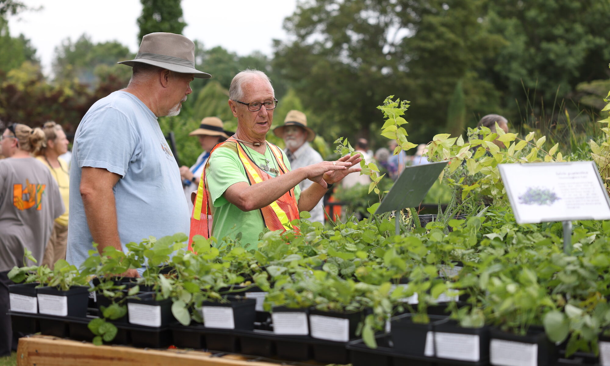 A volunteer in an orange vest gestures to a display of plants while talking with a shopper
