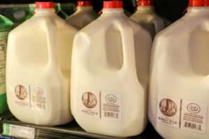 Gallons of Cruze milk on in retail refrigerator