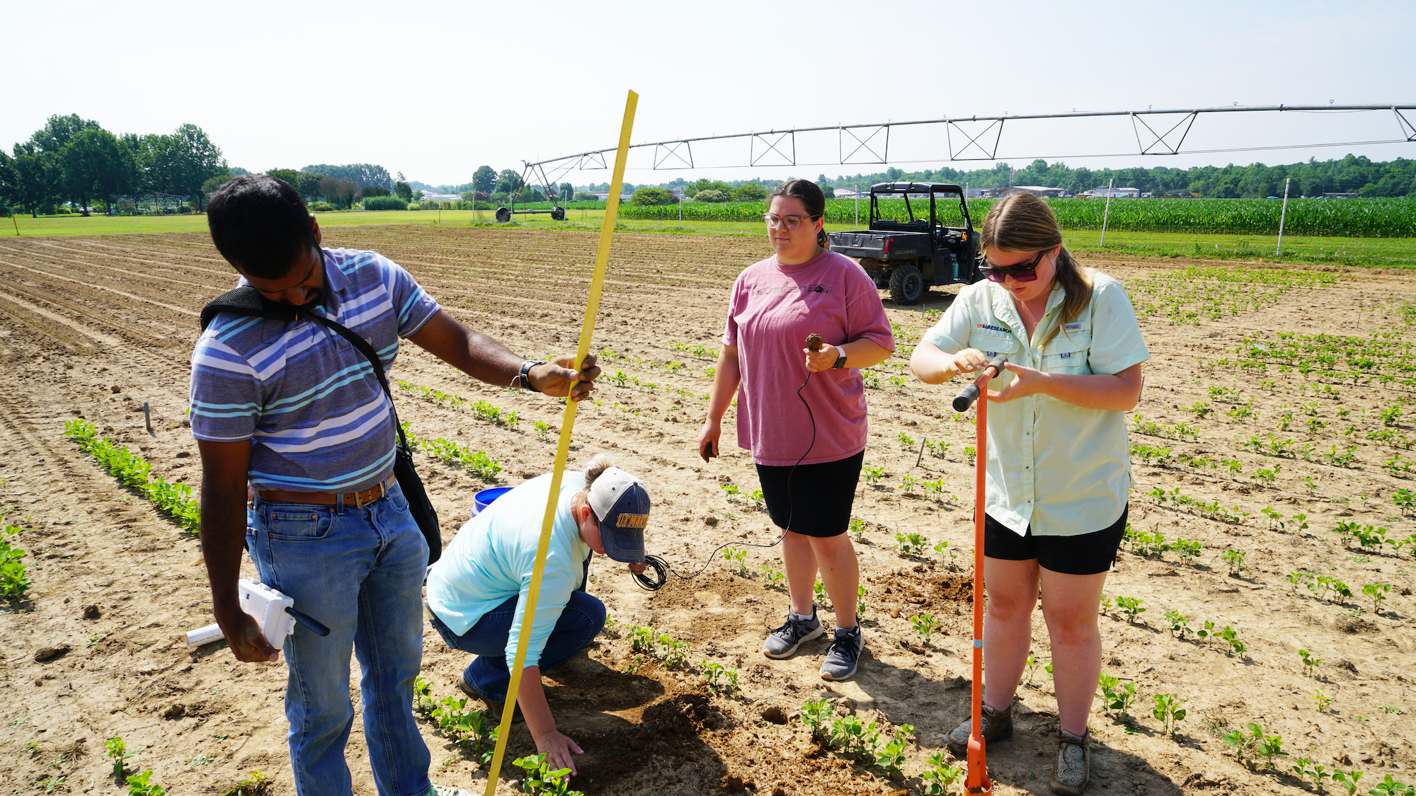 A group of interns install sensors in a field of newly emerging plants