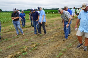 Crowd of people stand in a row crop field and look at newly emerged soybean plants during the 2023 Weed Tour