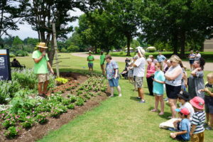 A small crowd stands in front of a flower bed during a guided tour of UT Gardens, Jackson, as a horticulturist speaks into a microphone