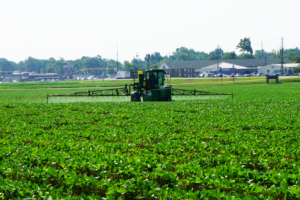 A tractor sprays pesticides in a soybean field of fully grown green plants
