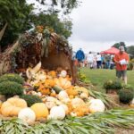 Large cornucopia overflowing with pumpkins with people in the background