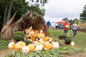 Large cornucopia overflowing with pumpkins with people in the background