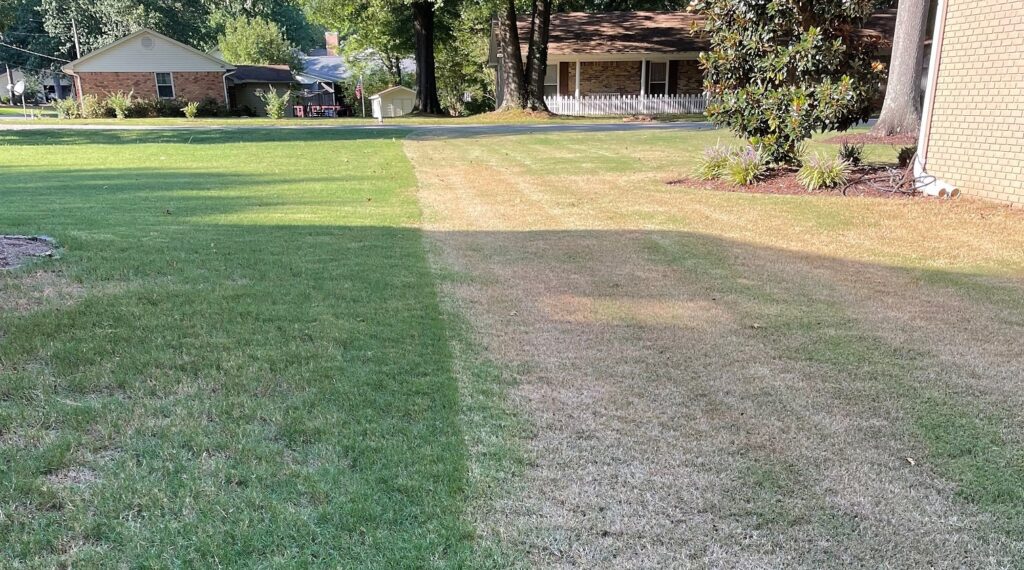 A vibrant, green lawn sprayed previously with insecticide is next to a mostly dead lawn with brown patches caused by armyworms