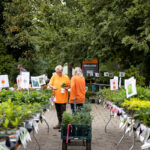 Two people in orange shopping for plants