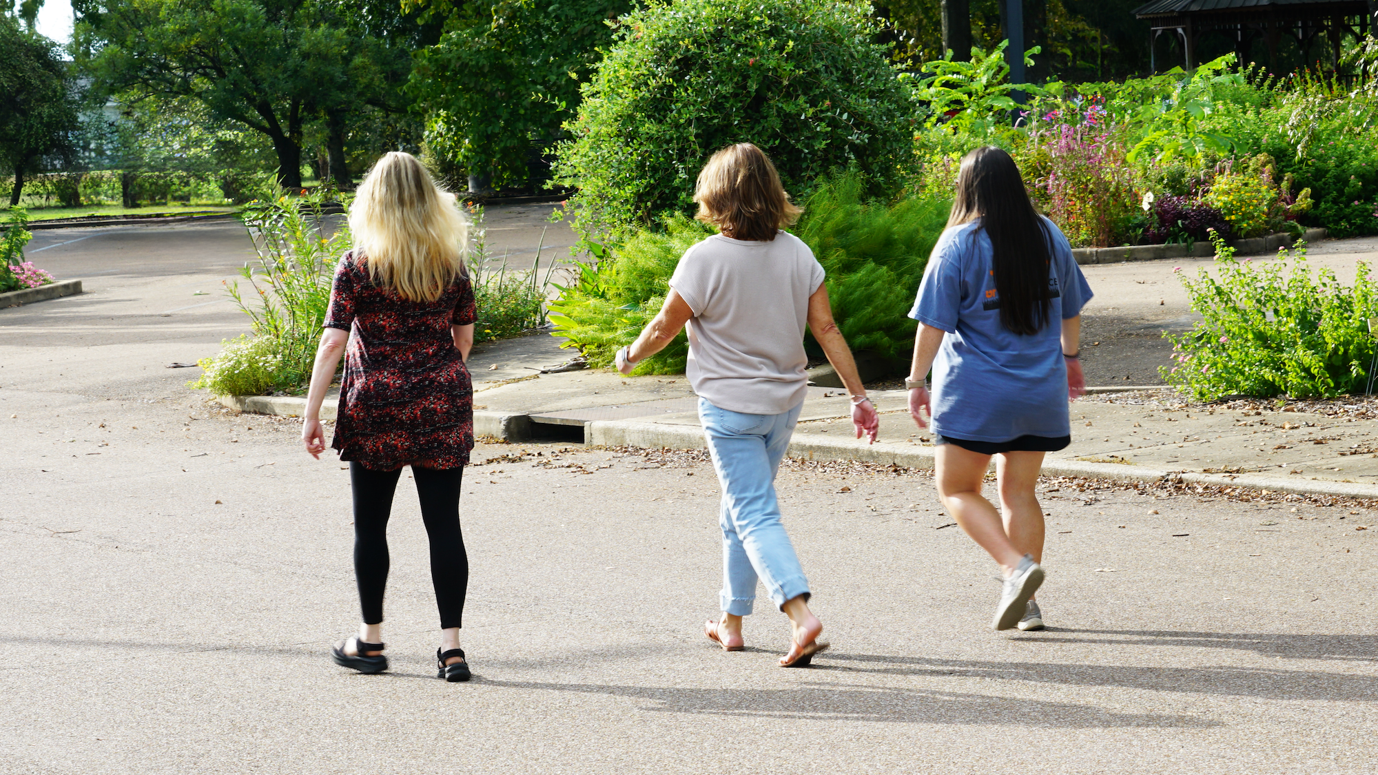 Three women with their backs turned walk down a road next to a garden