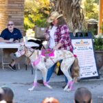 A woman with her dog dressed as a horse