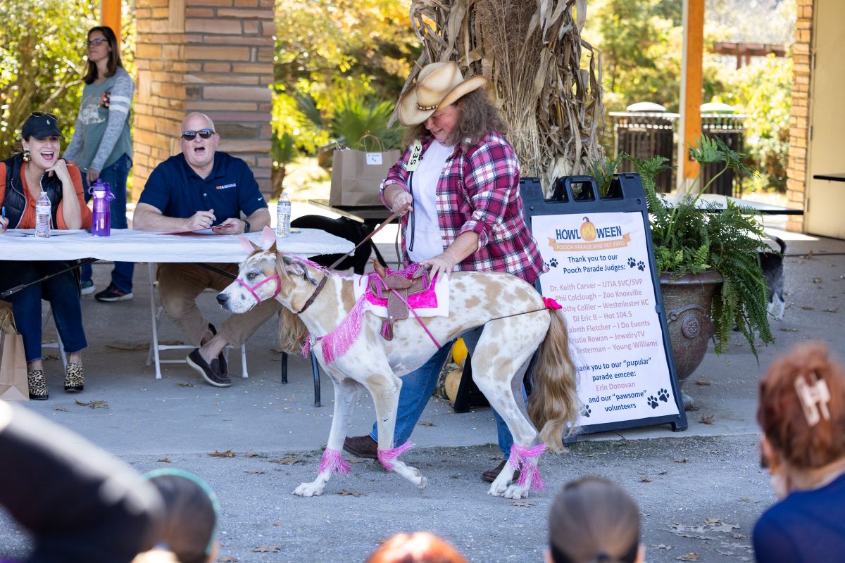 A woman with her dog dressed as a horse