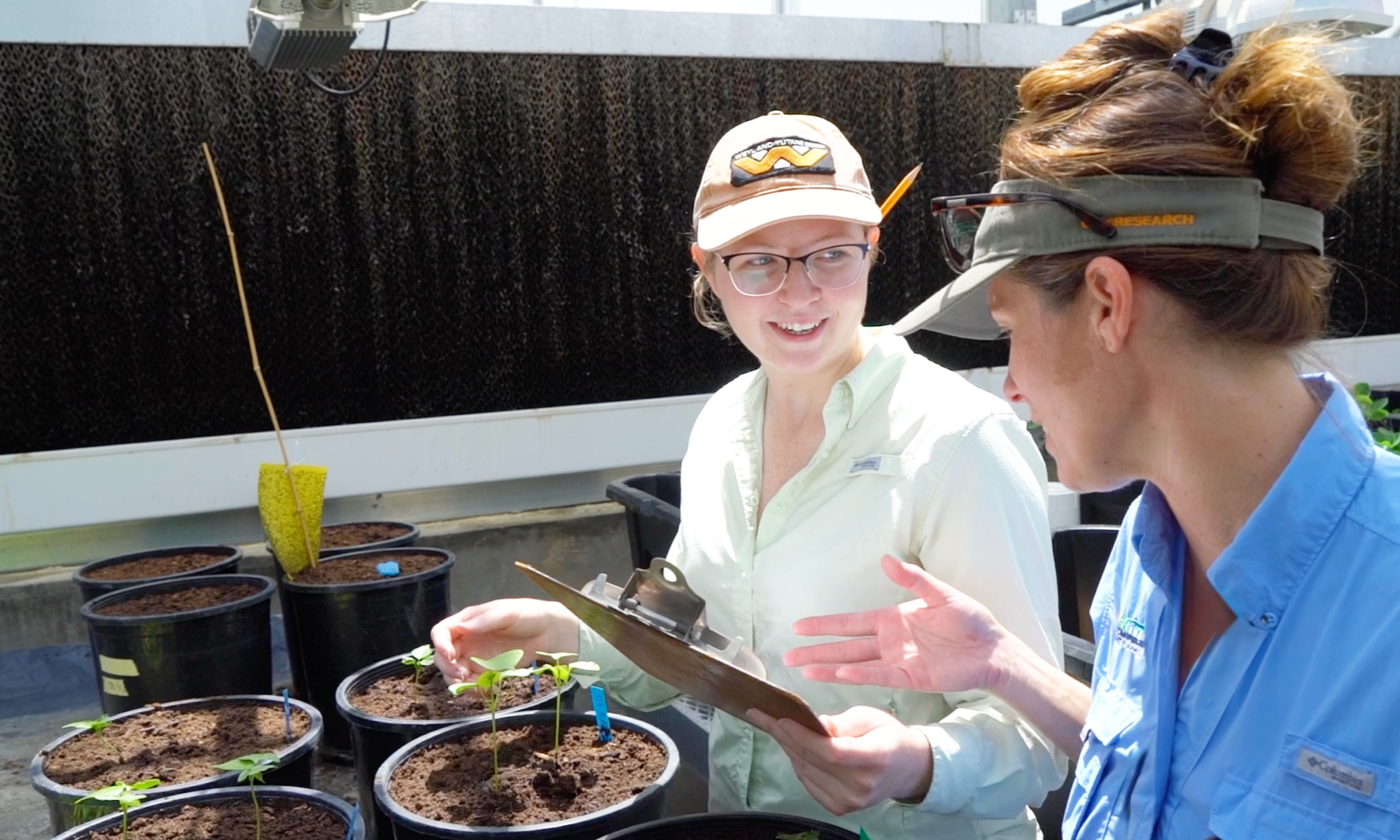 Two researchers, one holding a clipboard, examine a plant in a greenhouse