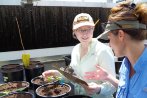 Two researchers, one holding a clipboard, examine a plant in a greenhouse