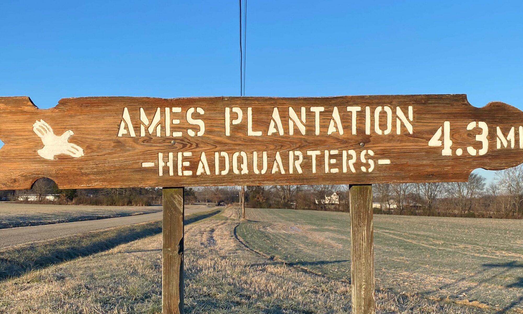 Wooden road sign shaped like an arrow with the words "Ames Plantation Headquarters, 4.3 miles."