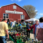 A crowd shops plants outside a red barn with a sign reading "farmer's market."
