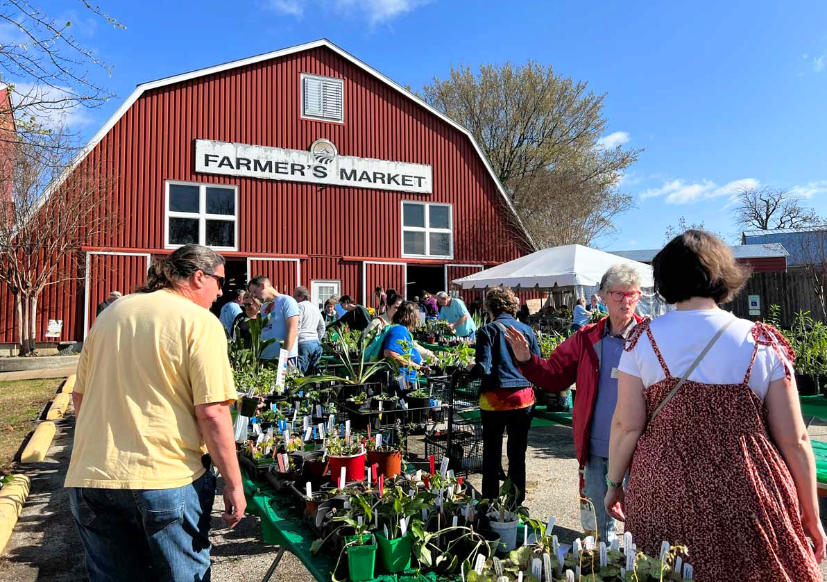 A crowd shops plants outside a red barn with a sign reading "farmer's market."