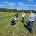 Bruno Pedreira and 4 other men in a field examining grass used for forage