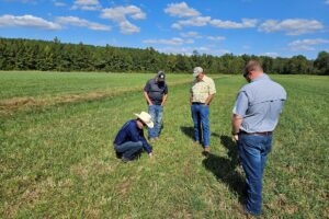 Bruno Pedreira and 4 other men in a field examining grass used for forage