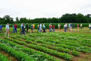 A group of attendees at the Weed Tour walk down a path between row crop fields