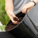 a person holding a bucket and picking up dirt out of it