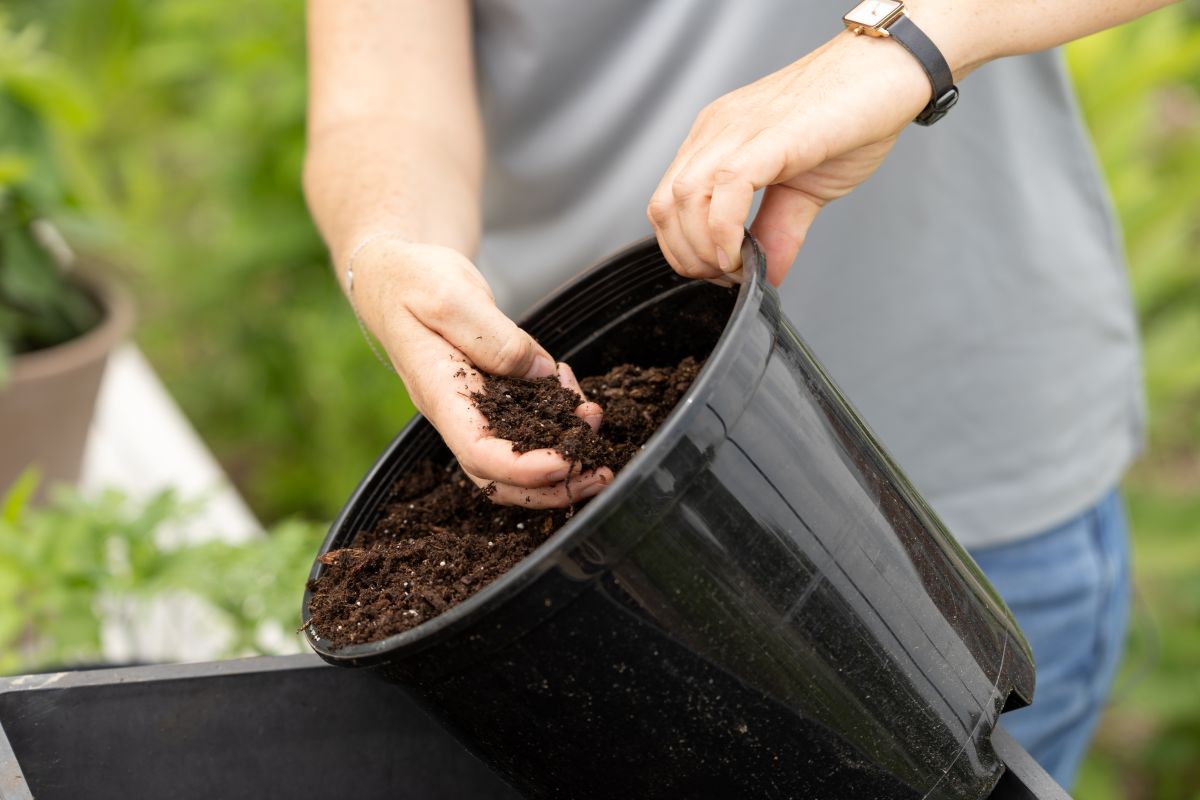a person holding a bucket and picking up dirt out of it