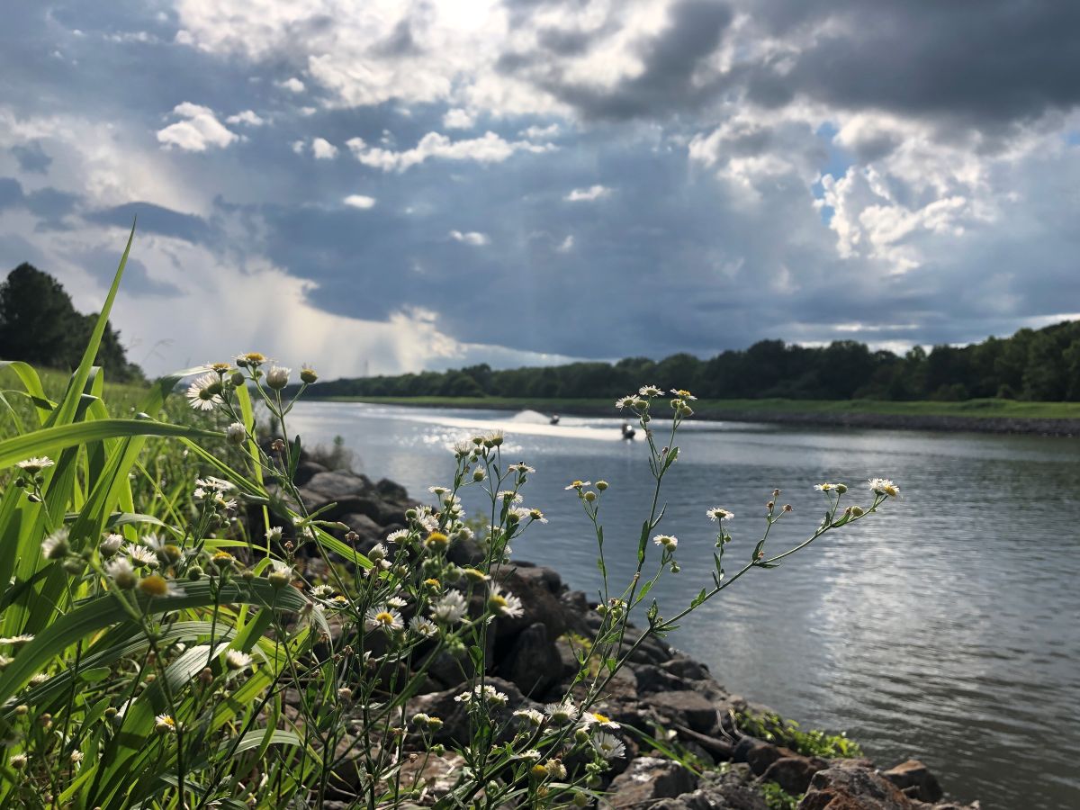 the Tennessee-Tombigbee Waterway in Tishomingo County, Mississippi