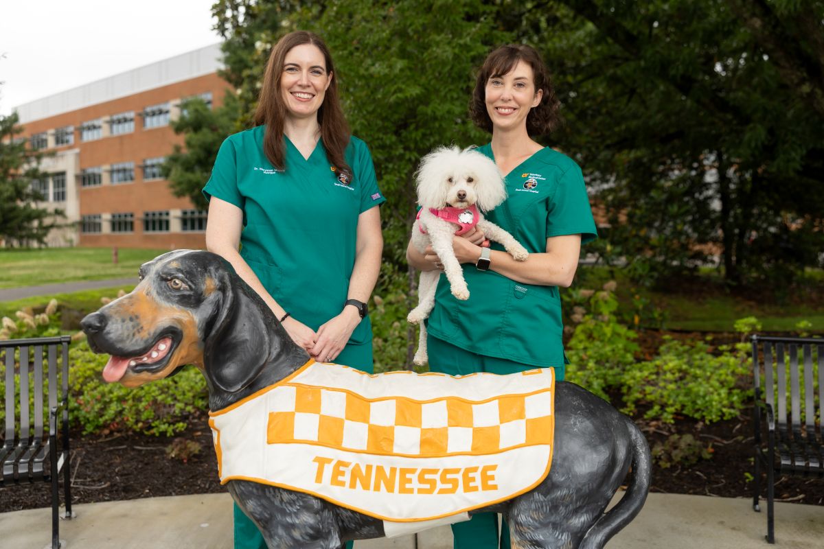 Drs. Angela Rollins (holding a small white dog) and Maryanne Murphy at a statue of UT’s famous canine mascot Smokey.