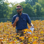 A man with a clipboard speaks into a microphone while standing in a cotton field at the annual Cotton Tour Field Day