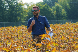A man with a clipboard speaks into a microphone while standing in a cotton field at the annual Cotton Tour Field Day