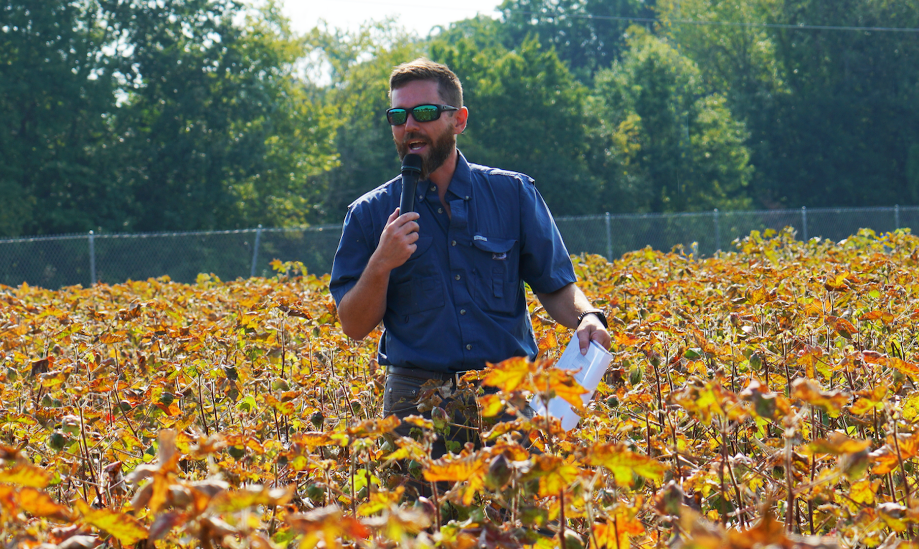 A man with a clipboard speaks into a microphone while standing in a cotton field at the annual Cotton Tour Field Day