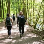 a few people hiking through the woods on a flat path