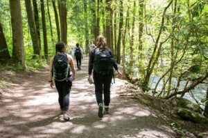 a few people hiking through the woods on a flat path