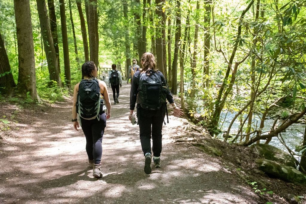 a few people hiking through the woods on a flat path