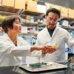 Jayne Wu, left, and Shigetoshi Eda work on a biosensor device that detects PTSD.