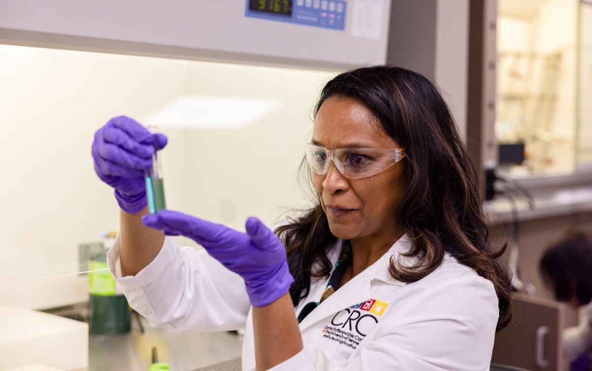 Nicole Labbe holding a test tube in a lab