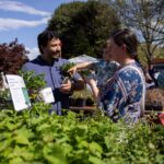 a man, woman, and child shopping for plants at the UT Gardens