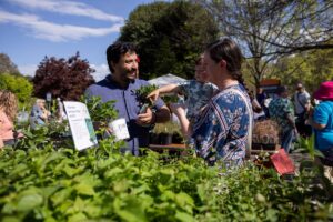 a man, woman, and child shopping for plants at the UT Gardens