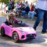 dog dressed as barbie in a little pink car