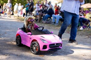 dog dressed as barbie in a little pink car